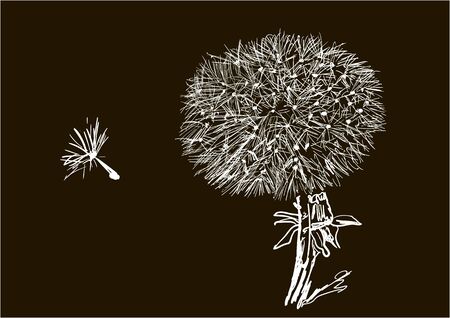 Dandelionのイラスト素材