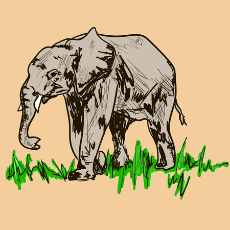 elephantのイラスト素材