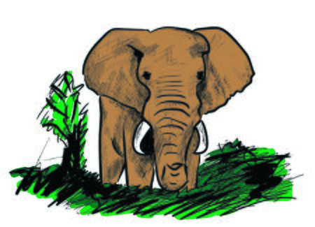 elephantのイラスト素材