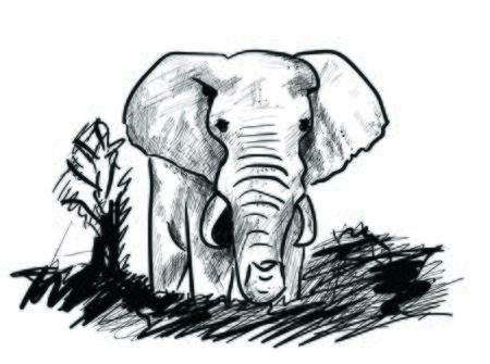 elephantのイラスト素材