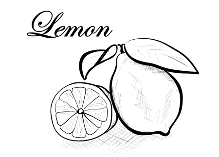 lemonのイラスト素材