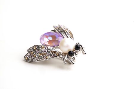 a brooch fly on the whiteの写真素材