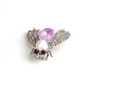 a brooch fly on the whiteの写真素材
