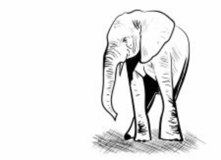 an illustration of big elephantのイラスト素材