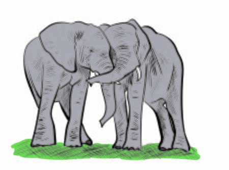 elephants isolated on white backgroundのイラスト素材