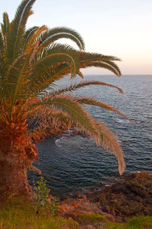 a sunset on the beachの写真素材