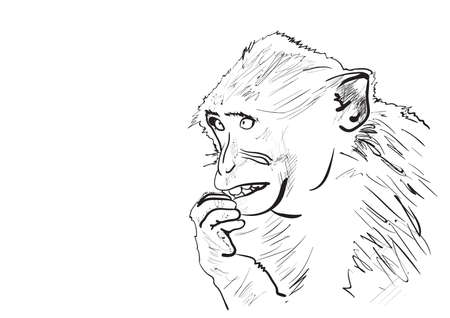 illustration of a monkey in a backgroundのイラスト素材