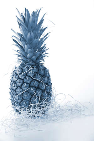 pineapple on white backgroundの写真素材