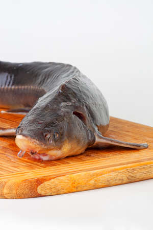 sturgeon fish on the wooden backgroundの写真素材