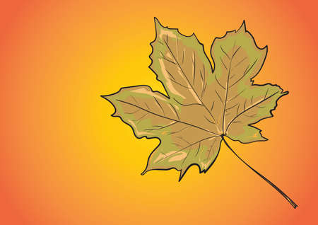 maple leaf isolated on yellowのイラスト素材