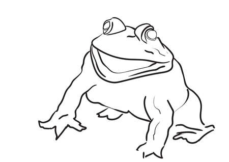 a very big frog on whiteのイラスト素材