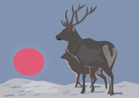 deer silhouette isolated on whiteのイラスト素材