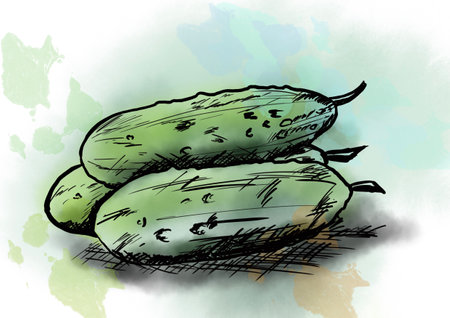 Illustration of cucumbers on a grunge watercolor background.の写真素材