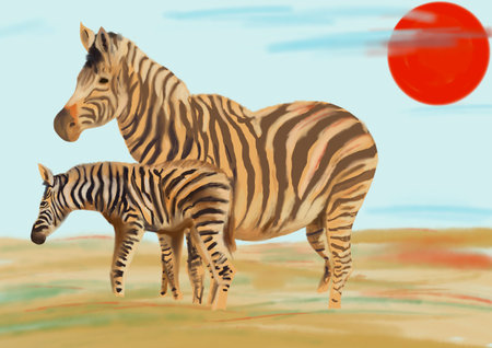 wild zebras in the African savannahの写真素材