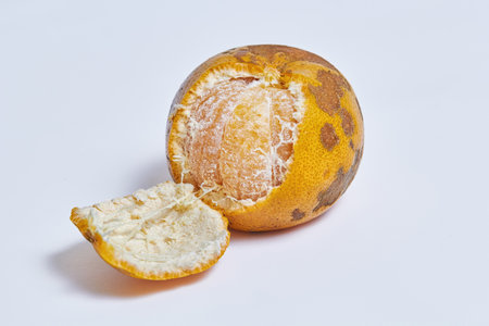 Imperfect skin organic orange which skin partly peeled open exposing the juicy flesh inside, isolated whiteの写真素材