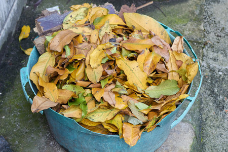 a broken old bucket full of wilted leavesの写真素材
