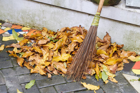 pile of dry leaves swept up with a broom made of twigs, collected at the edgeの写真素材