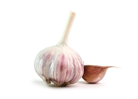 garlic isolated on white backgroundの写真素材