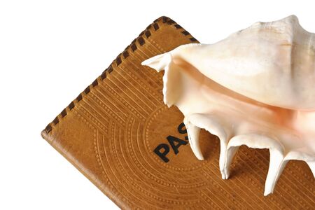 passport and seashells  isolated on a white background