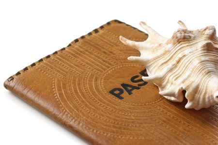 passport and seashells  isolated on a white backgroundの写真素材