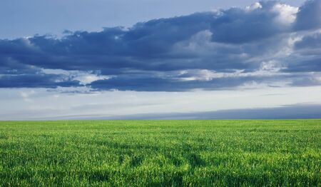 green field on a background of storm cloudsの写真素材