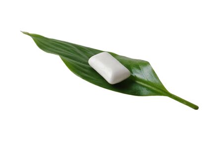 chewing gum on a green leaf isolated on a white backgroundの写真素材