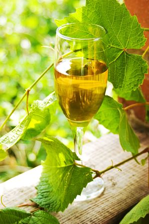 glass of wine on the table in the gardenの写真素材
