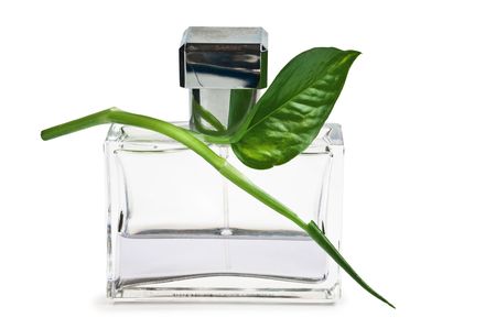 perfume bottle and green leaf   isolated on a white backgroundの写真素材