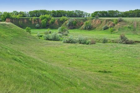 summer landscape ravine and forestの写真素材