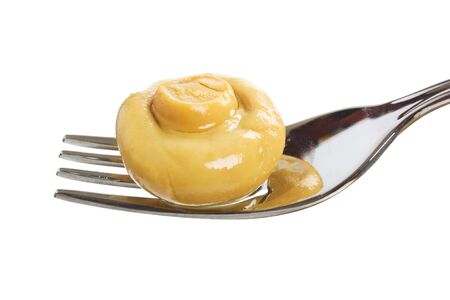 mushroom on a fork isolated on white backgroundの写真素材