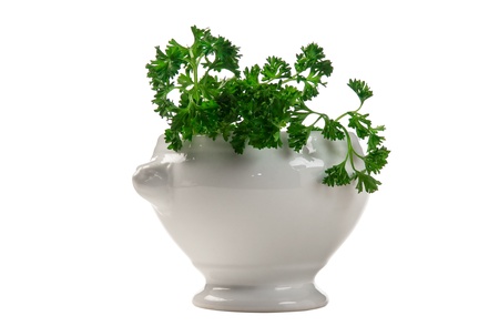parsley in a vase isolated on white backgroundの写真素材