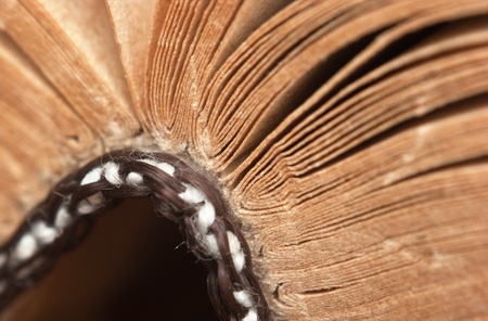 Binding of old books macroの写真素材