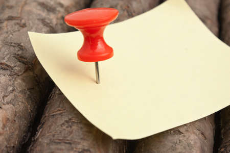 reminder notes on a background of the old wooden logsの写真素材