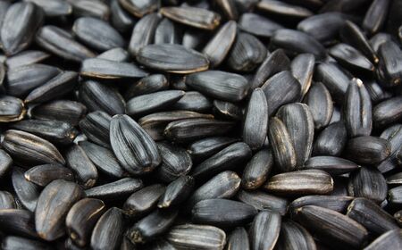 sunflower seeds background