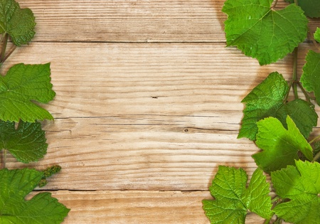 grapevine on wooden backgroundの写真素材