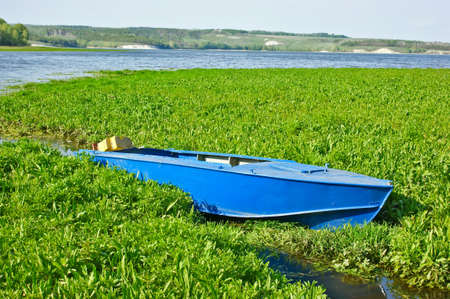 blue boat on the quay in the reedsの写真素材