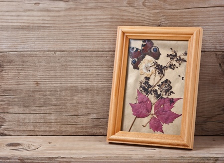 herbarium in frame on a wooden backgroundの写真素材