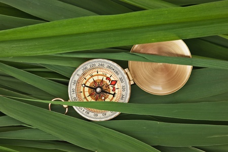 compass glass on the leaves of caneの写真素材