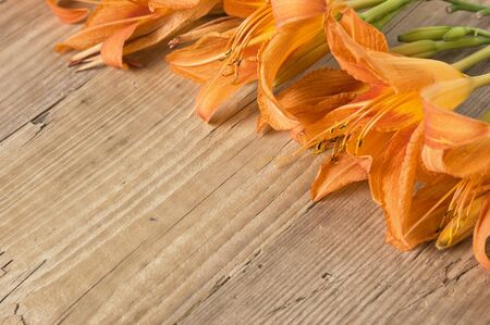 flowers on a wooden backgroundの写真素材