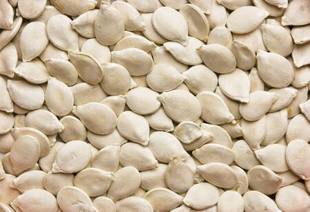 dried seeds of pumpkin,backgroundの写真素材