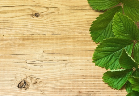 strawberry leaves on wooden backgroundの写真素材