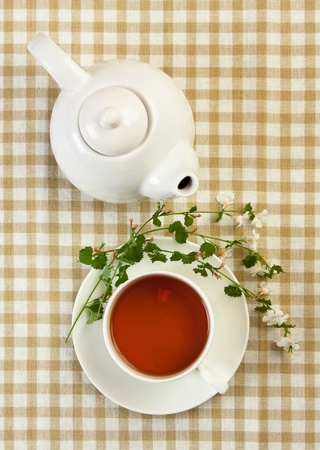 floral fruity tea on the tableの写真素材