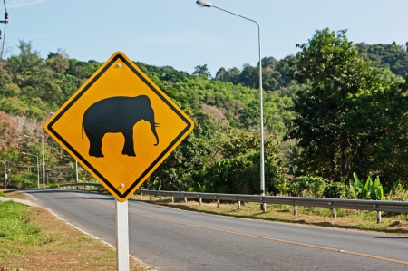 Elephants crossing the road sign in Phuket; Thailandの写真素材