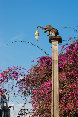 Street lamp in the form of an elephant in thailandの写真素材