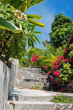 stone stairs in a tropical gardenの写真素材