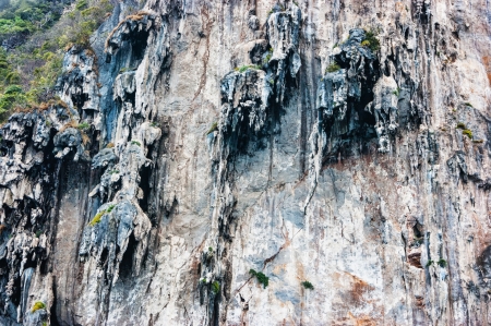 The island of phi phi leh Krabi, Thailandの写真素材