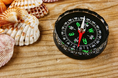Sea shells and compass on old wooden boardの写真素材