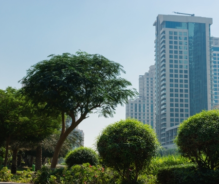 DUBAI, UAE - NOVEMBER 12: Modern buildings in Dubai Marina, on November 12, 2012, Dubai, UAE. Dubai was fastest developing city in world between 2002 and 2008.のeditorial素材