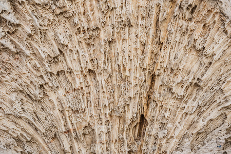 Old stone wall of limestone