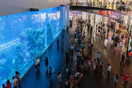 DUBAI, UAE - NOVEMBER 9: View of Dubai Aquarium inside Dubai Mall on November 9, 2013 in Dubai, UAE. The Aquarium has the longest plexi glass tunnel in the world.のeditorial素材
